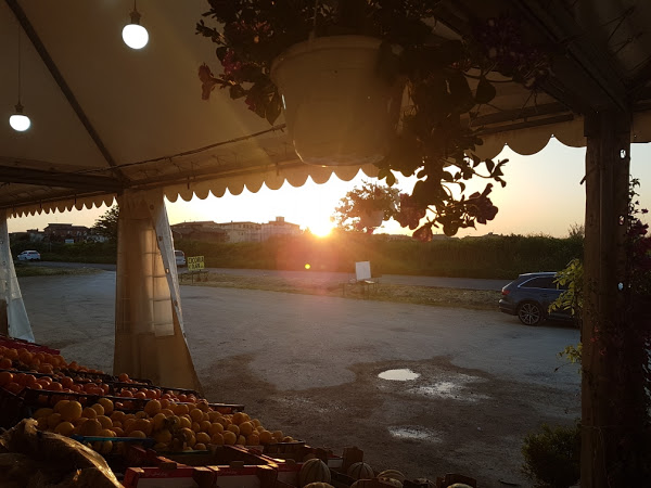 Azienda Agricola Galasso
