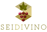 Enoteca Seidivino