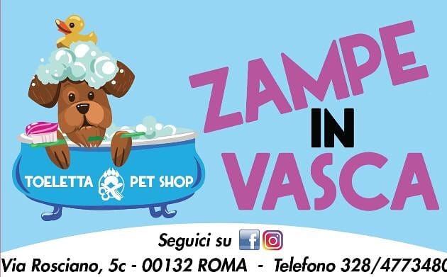 Zampe in vasca
